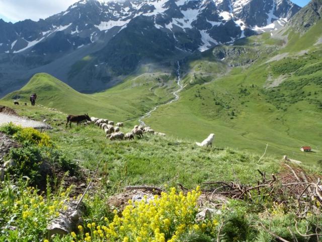 Appartement A La Montagne A La Meije Blanche Villar-dʼArène Екстериор снимка